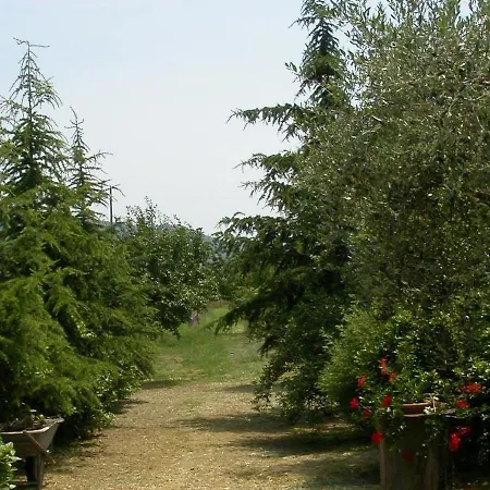Locazione Turistica Casaghezzi 公寓